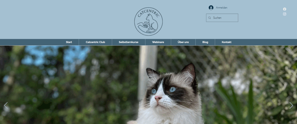 Catcentric